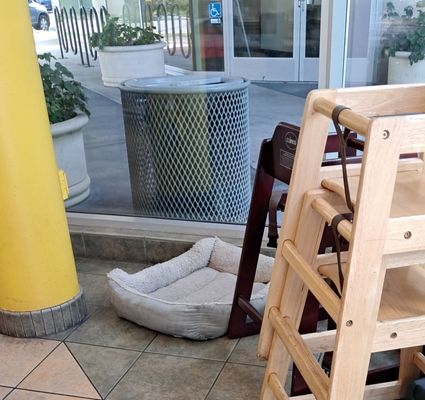 The Ma'lawah Bar by null