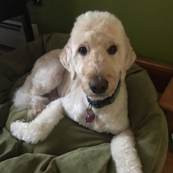 Groomingdales - Pet Groomers Near Me - Torrington, Connecticut