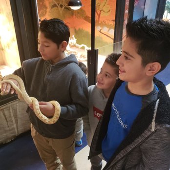 EcoVivarium - When the tour first started - Museums Near Me - Escondido, California EcoVivarium - When the tour first started - Museums Near Me - Escondido, California