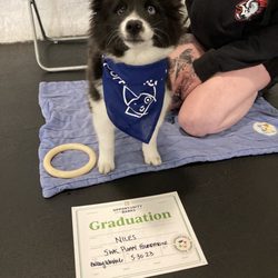 Opportunity Barks Behavior & Training - Niles graduating from Puppy Foundations