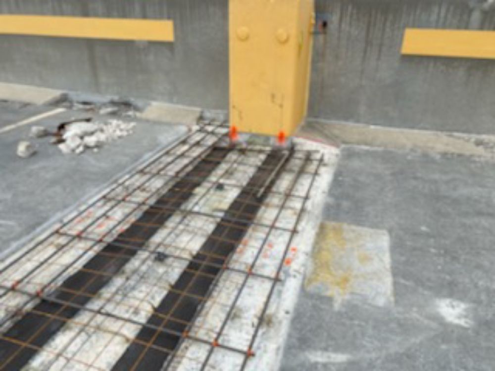 Slide of CMR Florida