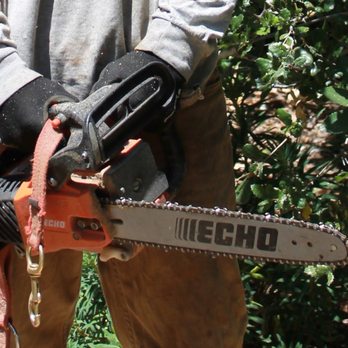 Art & Science Tree Service - Tree Services Near Me - Sonoma, California Art & Science Tree Service - Tree Services Near Me - Sonoma, California
