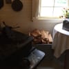 Hoover-Minthorn House Museum gift card