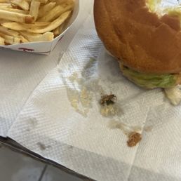There was a roach in my burger