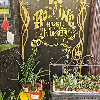 Rolling Ridge Nursery - Nurseries & Gardening Near Me - Webster Groves, Missouri