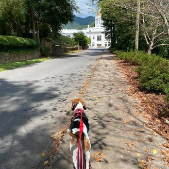 Walks and Wags with Morgan - Afternoon walks in downtown Sylva with long-time client, Sadie. - Pet Sitting Near Me Walks and Wags with Morgan - Afternoon walks in downtown Sylva with long-time client, Sadie. - Pet Sitting Near Me