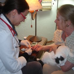NPHS - Nurse Practitioner Health Services