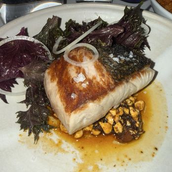 Kismet - Yellowtail - Mediterranean Near Me - Los Angeles, California Kismet - Yellowtail - Mediterranean Near Me - Los Angeles, California