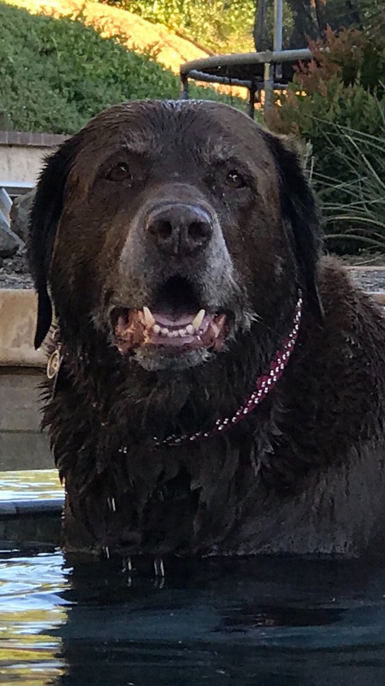 PLANT HOUSE NURSERY 15 Photos & 43 Reviews Nurseries & Gardening