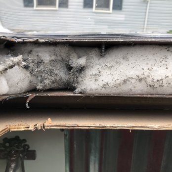 Skoolie Homes - No insulation between the luan ceiling and the metal roof of the bus - Auto Customization Near Me - Kingsport, Tennessee