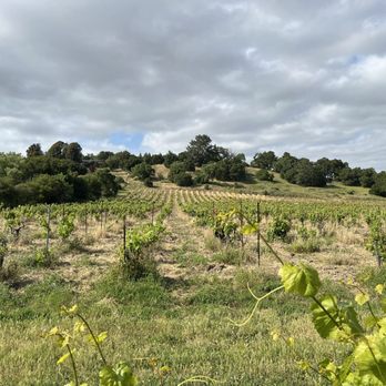 Hecker Pass Winery - Wineries Near Me - Gilroy, California