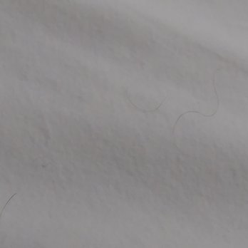 Stay Beyond Inn & Suites - More disgusting human bio matter on the sheets when I checked in.. Yuck!! - Hotels Near Me - Elma, Washington