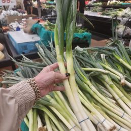 Giant green onions Giant green onions