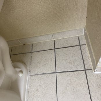 Princess Royale - Roach infested room 218 - Resorts Near Me - Ocean City, Maryland Princess Royale - Roach infested room 218 - Resorts Near Me - Ocean City, Maryland