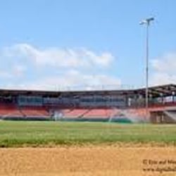 Rochester Honkers Baseball