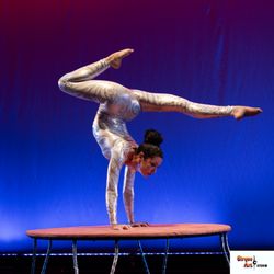 A Cirque Art Studio coach nails a hand-balancing pose at ELEVATE, our May circus showcase in Miami. Classes in North Miami Beach!
