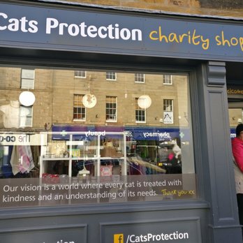 cats protection shop near me