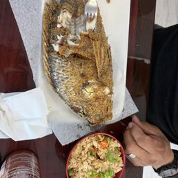 Tilapia