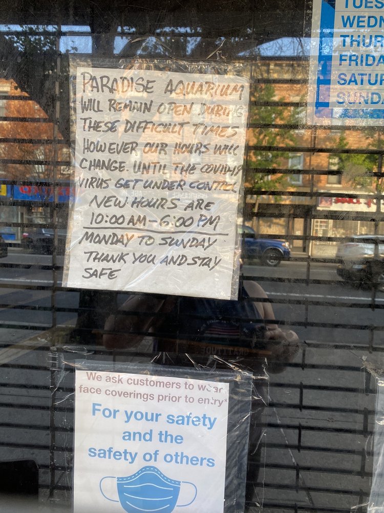 PARADISE AQUARIUM Updated October 2024 45 Reviews 6616 Fresh Pond