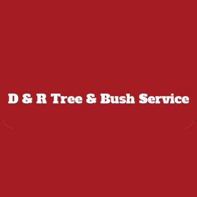 D & R Tree & Bush Service - tree service in Petersburg, IL