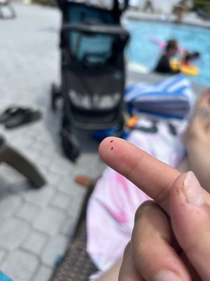 Summer Bay Orlando By Exploria Resorts by null