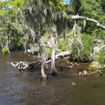 Alpine Groves Park - Parks Near Me - Fruit Cove, Florida Alpine Groves Park - Parks Near Me - Fruit Cove, Florida