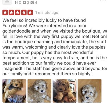 furrylicious boutique