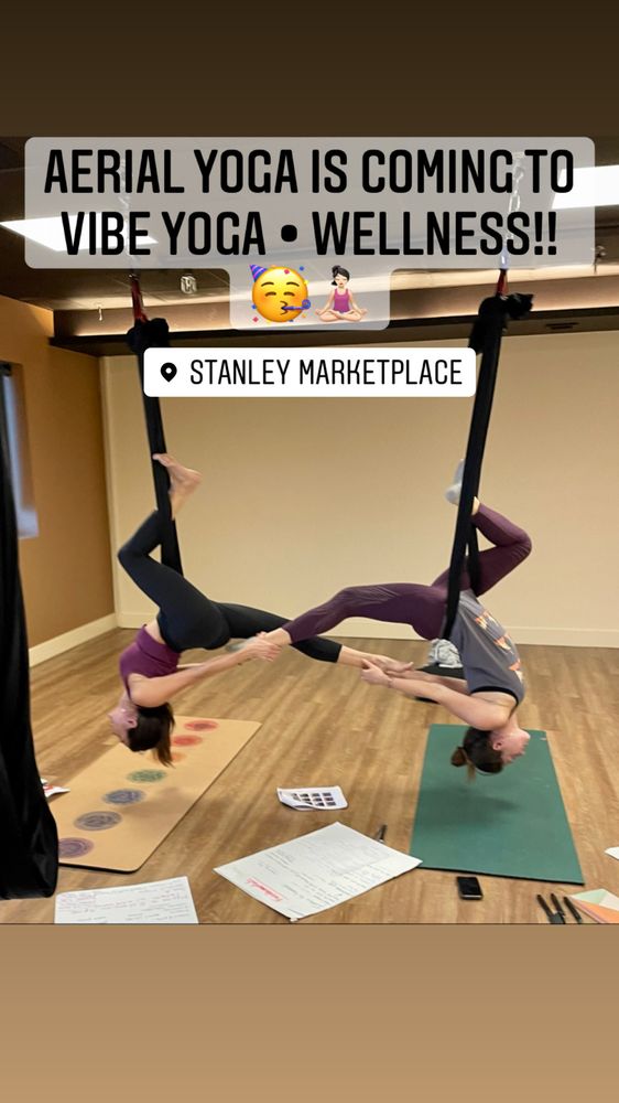 Vibe Yoga + Wellness Logo