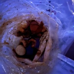 I opted the bag and there was nothing in the bag for 73.00 dollars