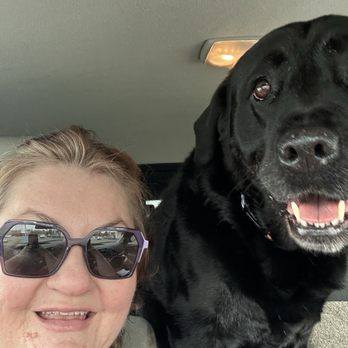 Freedom Service Dogs of America - Living as a team - Pet Services Near Me - Englewood, Colorado Freedom Service Dogs of America - Living as a team - Pet Services Near Me - Englewood, Colorado