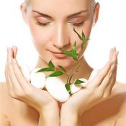 The Healing Touch Center