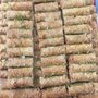 Photo of Adelaide Lebanese Bakery