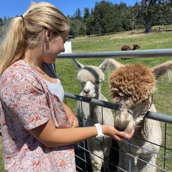 The Farm at Krystal Acres - Attraction Farms Near Me - Friday Harbor, Washington The Farm at Krystal Acres - Attraction Farms Near Me - Friday Harbor, Washington