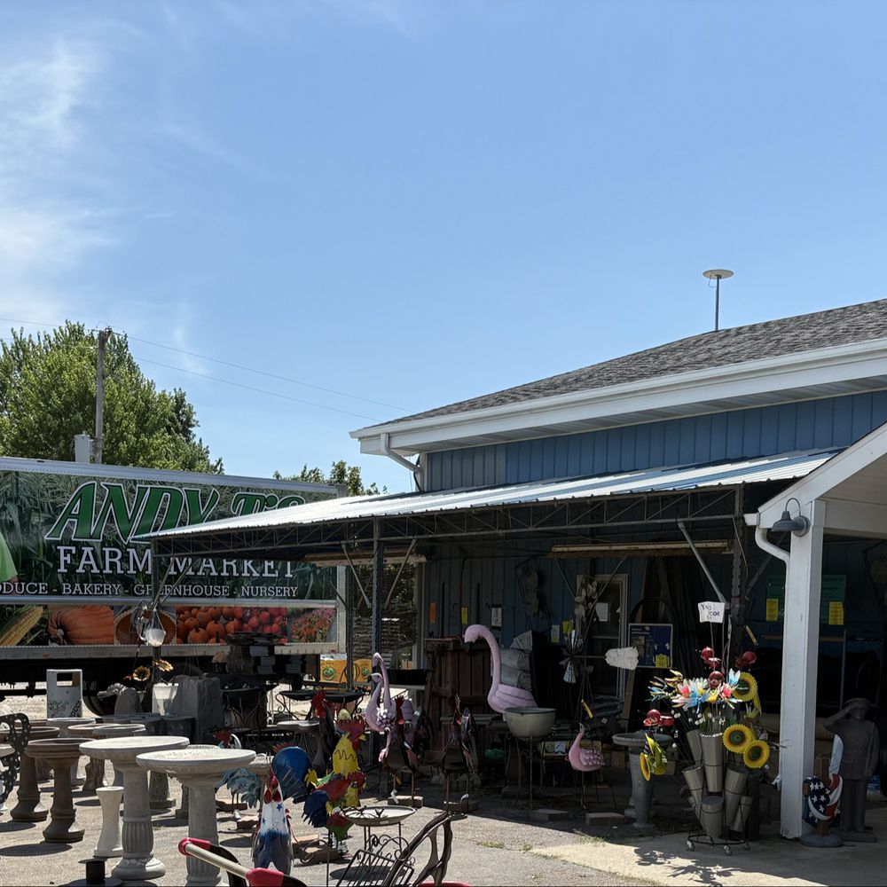 Whitney Snowden - Associate Head Coach - Staff Directory - University of  Missouri Athletics, image size:1000x1000