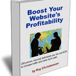 Attraction Website Design - Webmaster Ray is author of "Boost Your Website's Profitability: 200 proven, low-cost techniques you can use NOW"