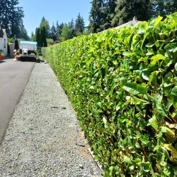 E&h Landscaping - Landscaping Near Me E&h Landscaping - Landscaping Near Me