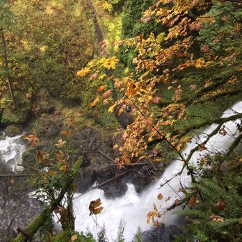 Silver Falls State Park - On top of one of the trails looking down - Hiking Near Me - Sublimity, Oregon Silver Falls State Park - On top of one of the trails looking down - Hiking Near Me - Sublimity, Oregon
