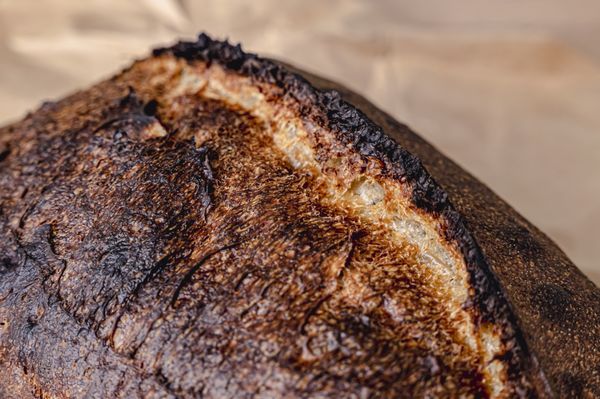 Stevedore Bakery by null