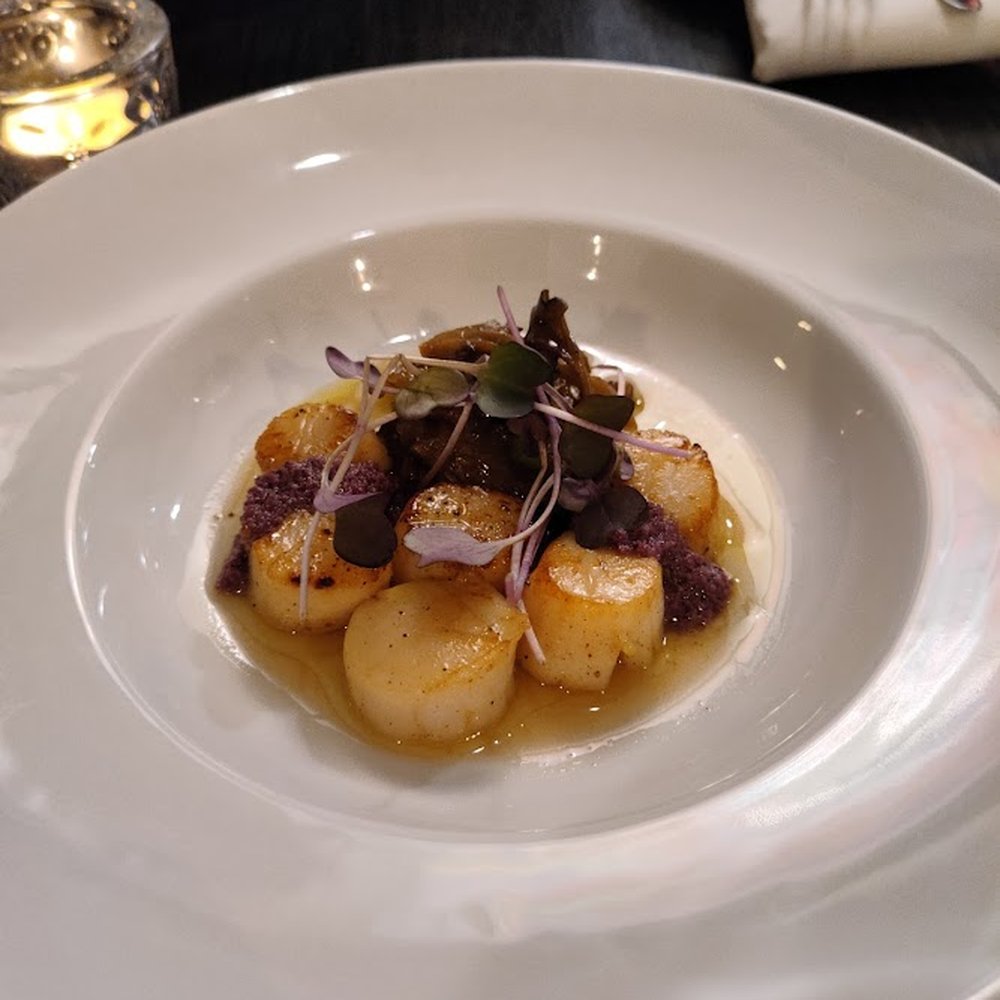 Maison T - Seared Hokkaido Scallops (20) - Bistros Near Me - Toronto, Ontario Maison T - Seared Hokkaido Scallops (20) - Bistros Near Me - Toronto, Ontario