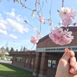 Hazelwood Elementary School - Beautiful day of spring