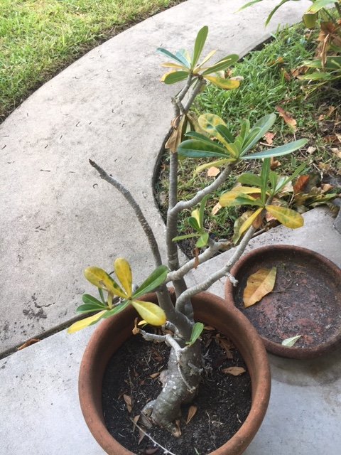 Slide of Beacon Cleaning