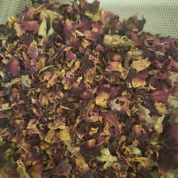 Penn Herb Company