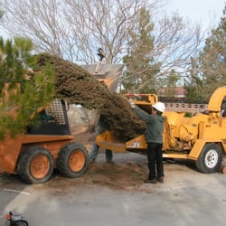 Nevada Tree Service