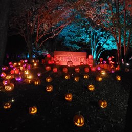 The Glow~