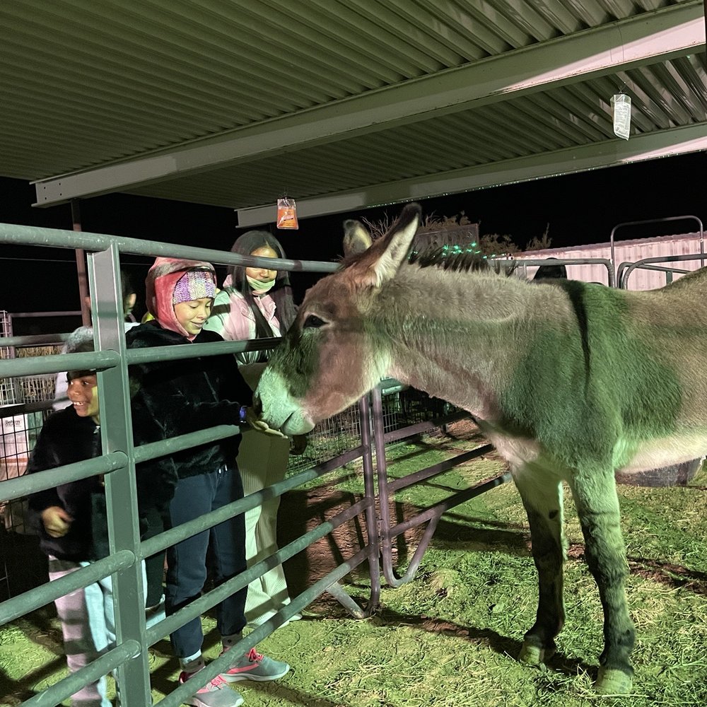 Moapa Valley Cornmaze - Petting zoo - Attraction Farms Near Me - Logandale, Nevada