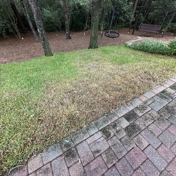 Woerner Landscape - Dying sod - Nurseries & Gardening Near Me - Fort Walton Beach, Florida Woerner Landscape - Dying sod - Nurseries & Gardening Near Me - Fort Walton Beach, Florida