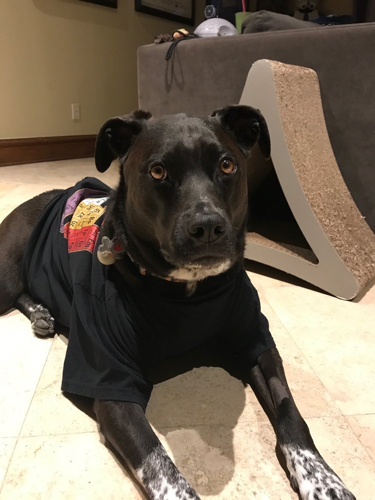 FAMILY PET HOSPITAL Updated October 2024 13 Reviews 2228 NW 164th