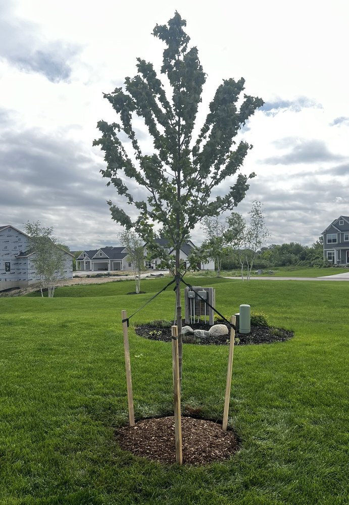 MAPLE LAKE TREE FARM Updated September 2024 5110 Chicago Dr, Hudsonville, Michigan