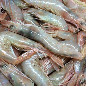 La Marea de Marcos - Gambas blancas - Seafood Near Me - Jerez, California La Marea de Marcos - Gambas blancas - Seafood Near Me - Jerez, California