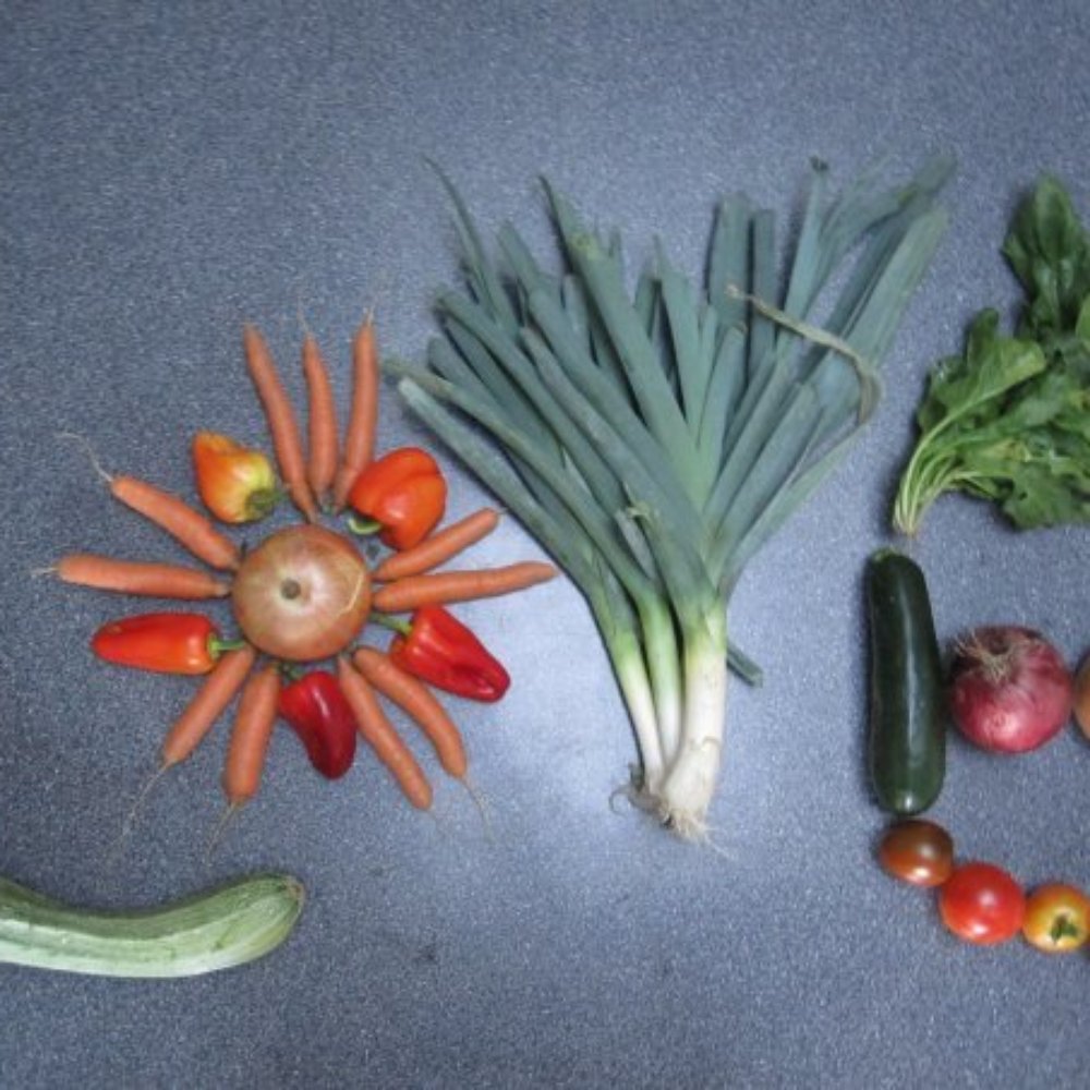 TOP 10 HOTTEST Csa in Solano County, CA - Updated 2026 - Yelp